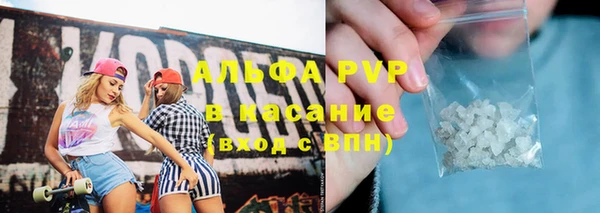 тгк Новозыбков