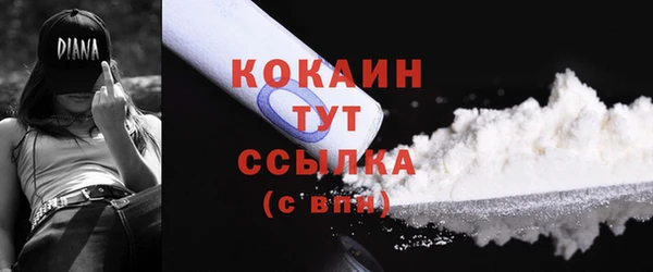 тгк Новозыбков