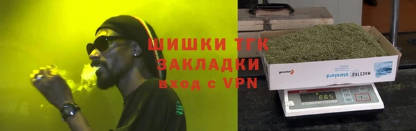 тгк Новозыбков