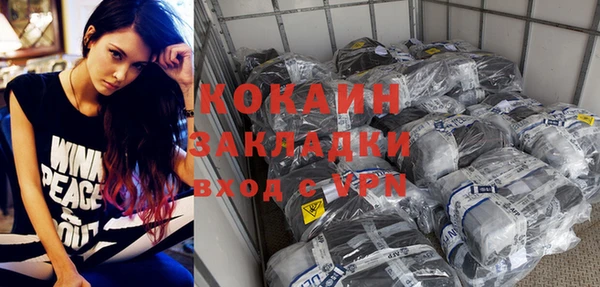 тгк Новозыбков