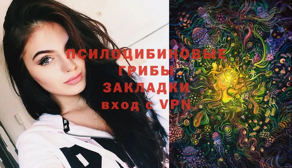 тгк Новозыбков