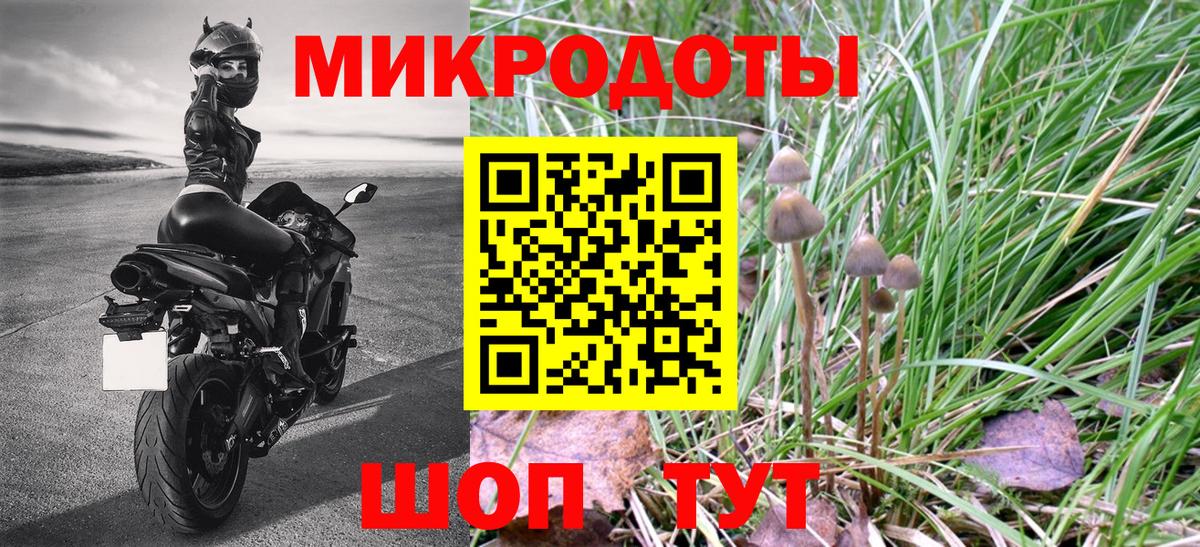 дарнет шоп  Ступино  Псилоцибиновые грибы мицелий 